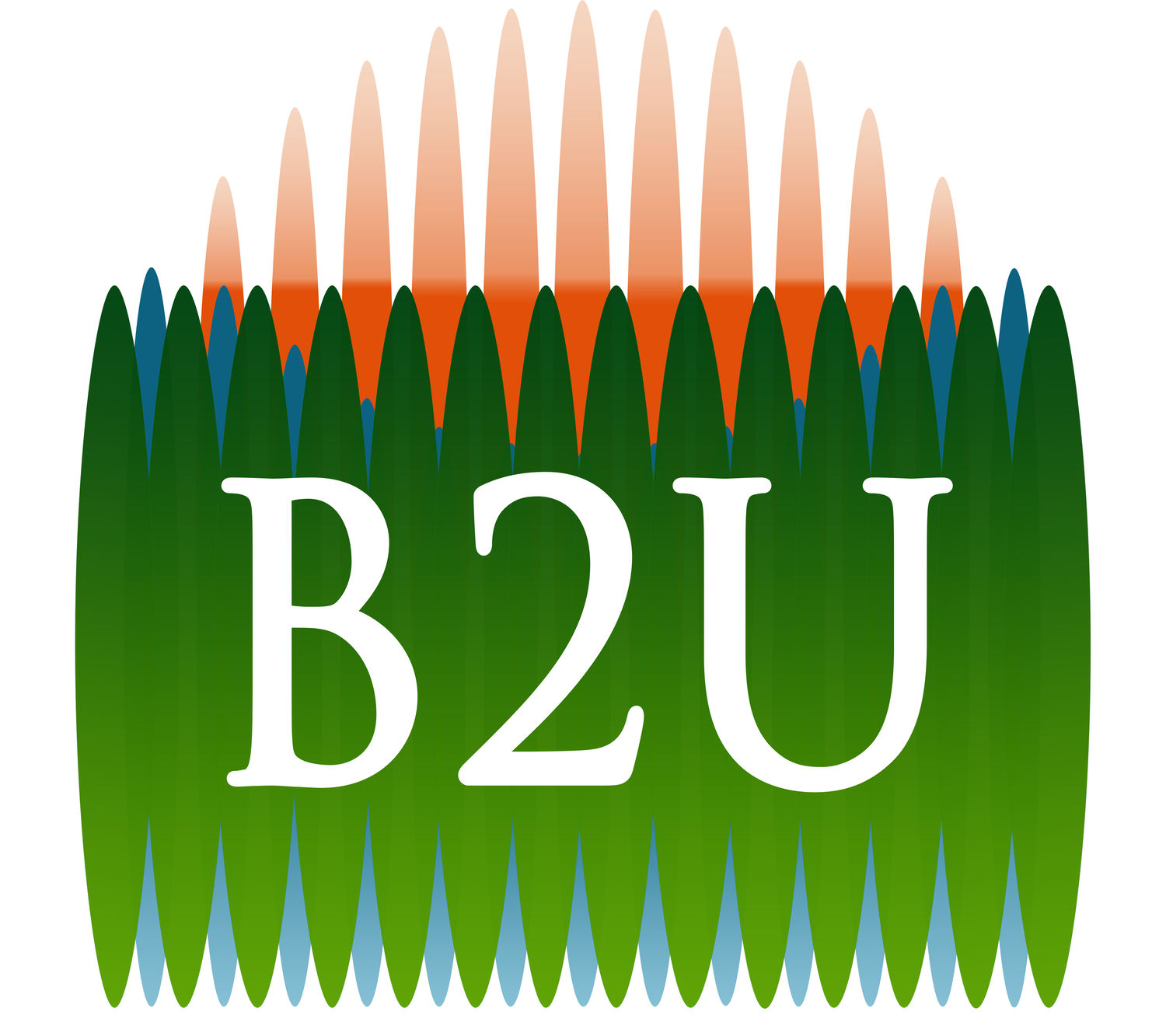 B2U Storage Solutions Inc
