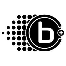 Braille Battery, Inc