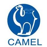 Camel Group