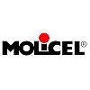 E-One Moli Energy Ltd