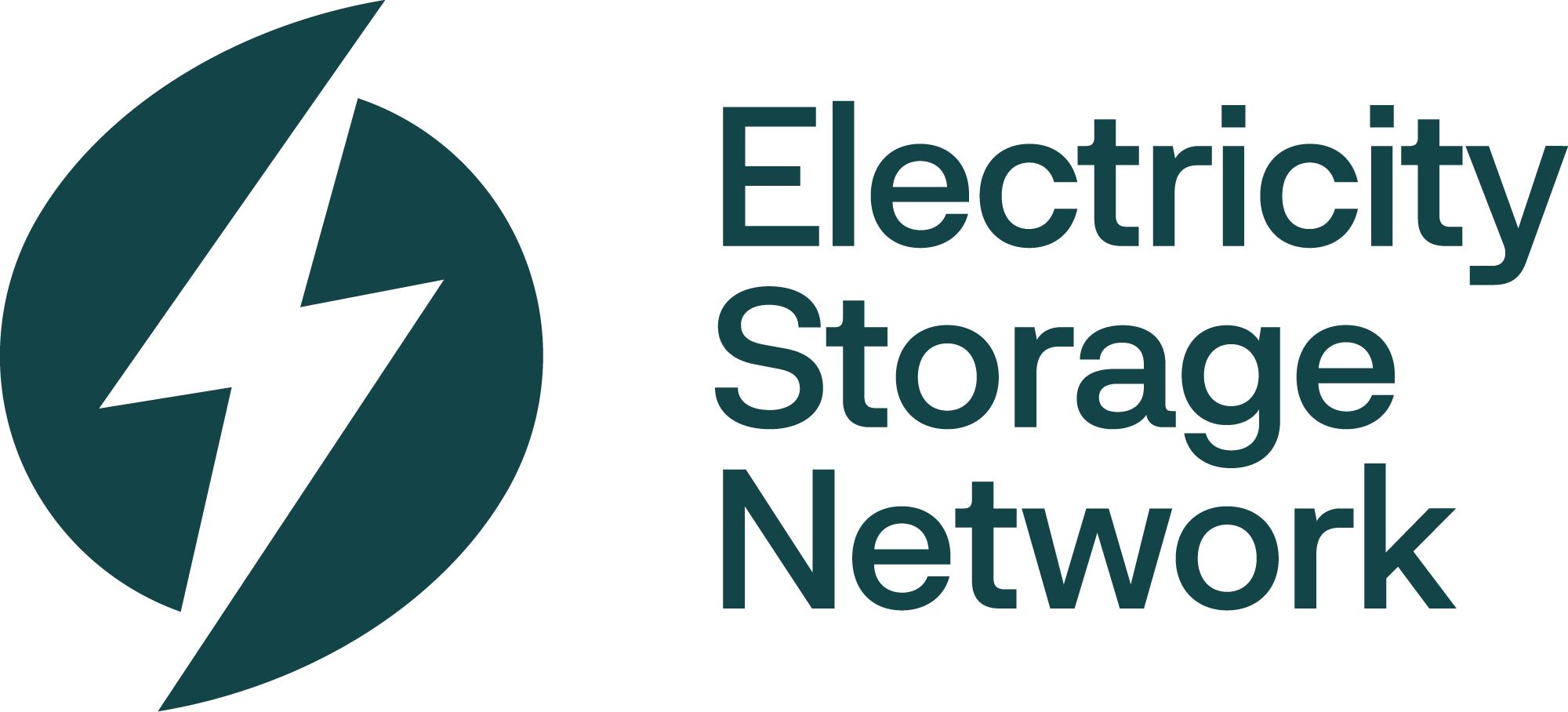 Electricity Storage Network