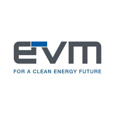 EV Metals Group