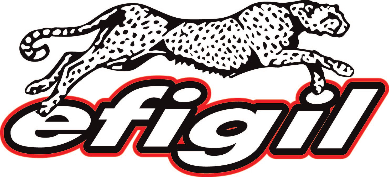 Ferrari North America Inc