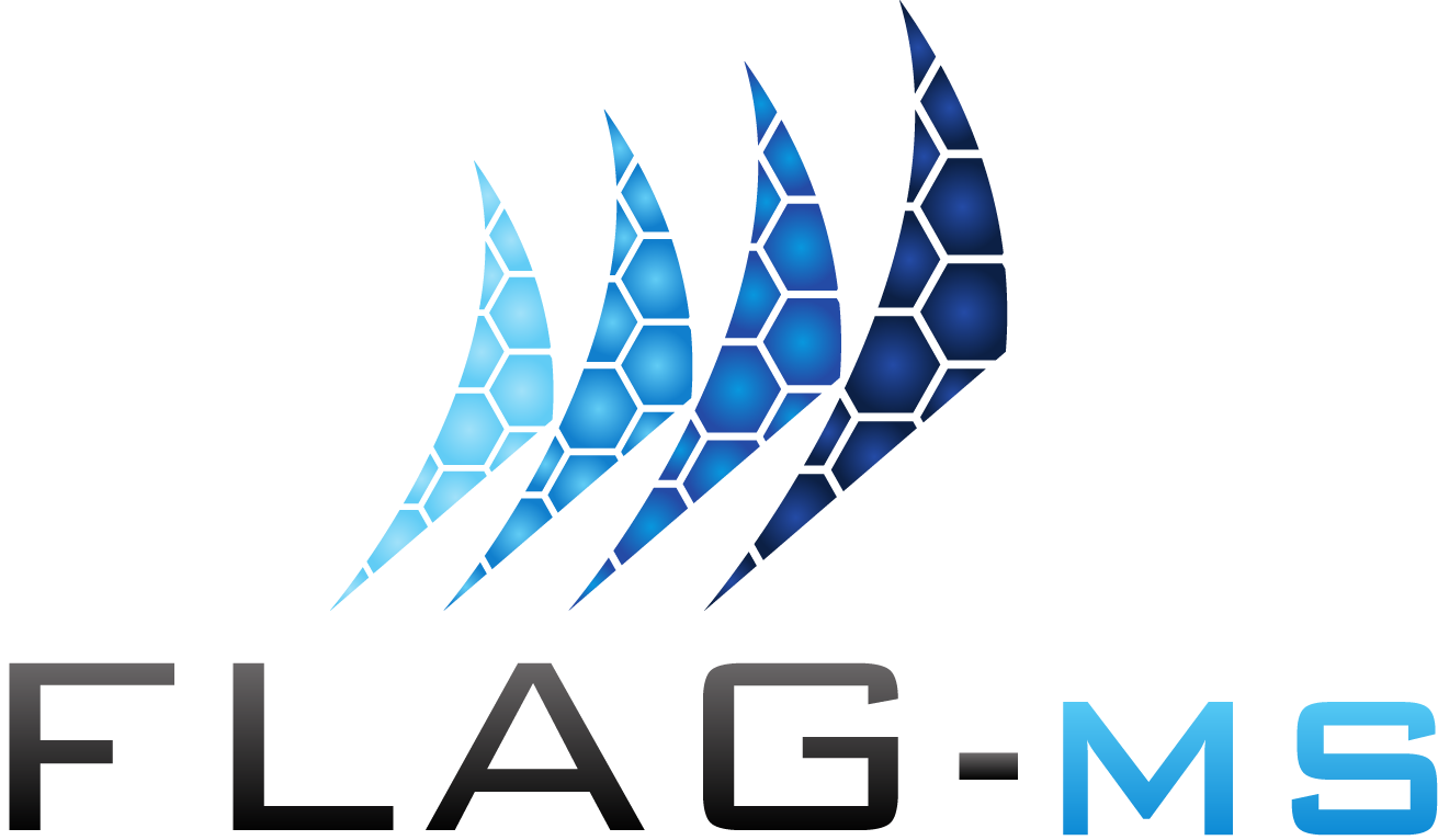 FLAG-MS S.r.l.