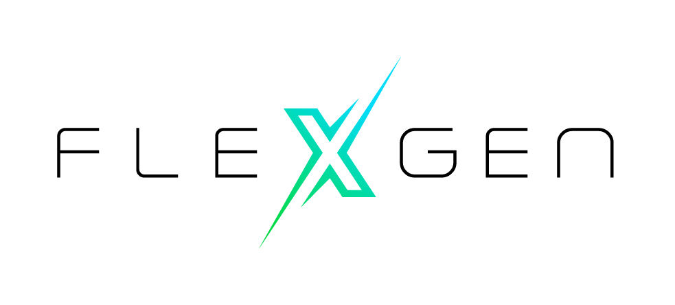 FlexGen