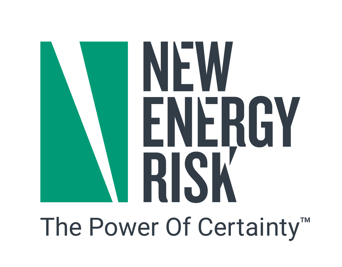 New Energy Risk