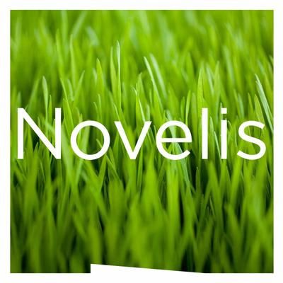 Novelis Inc