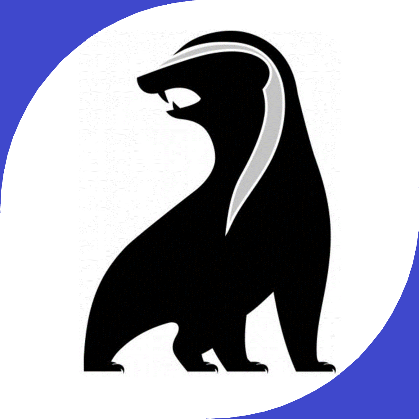 Ratel Consulting LLC