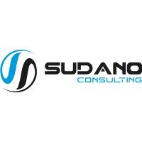 Sudano Consulting Inc.