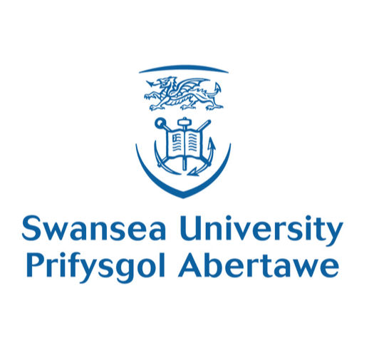 Swansea University